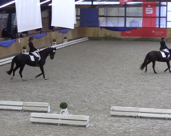 Reitturnier Großenwiehe 2021