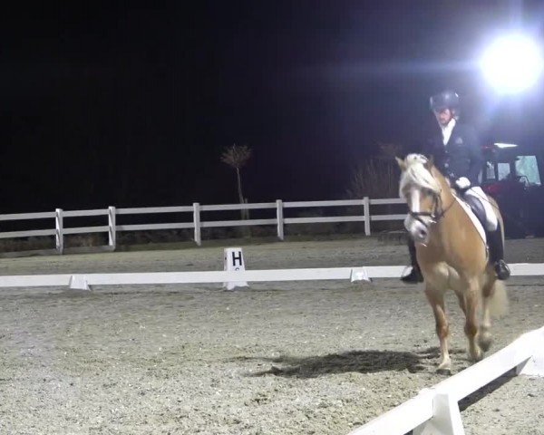 Reitturnier St. Margarethen 2024