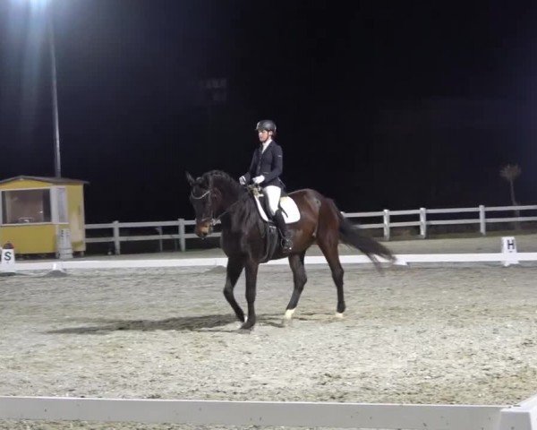Reitturnier St. Margarethen 2024