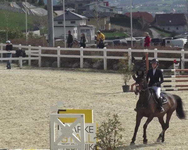 Reitturnier St. Margarethen 2024
