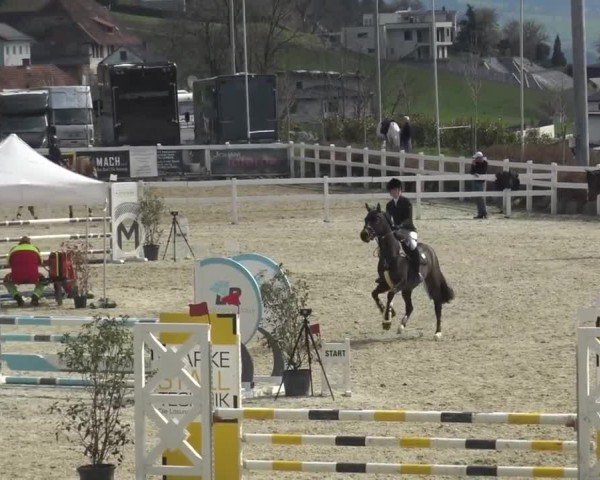 Reitturnier St. Margarethen 2024