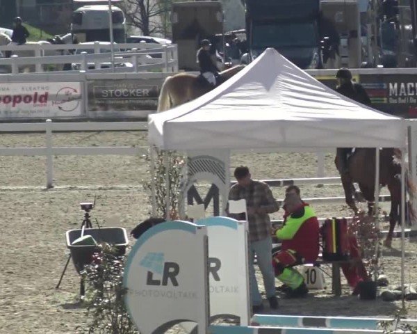Reitturnier St. Margarethen 2024