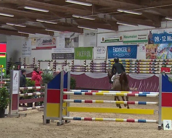 Reitturnier Eicherloh RH Laurent/Obb. 2024