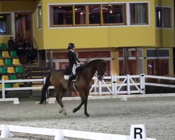 Reitturnier St. Margarethen 2024