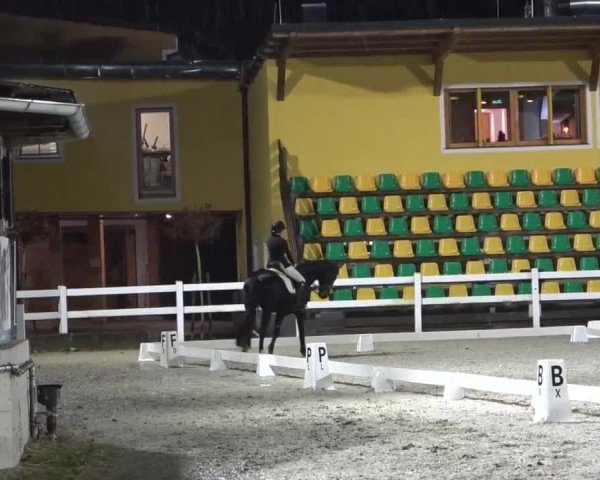 Reitturnier St. Margarethen 2024