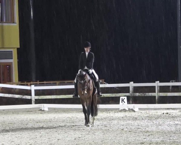 Reitturnier St. Margarethen 2024
