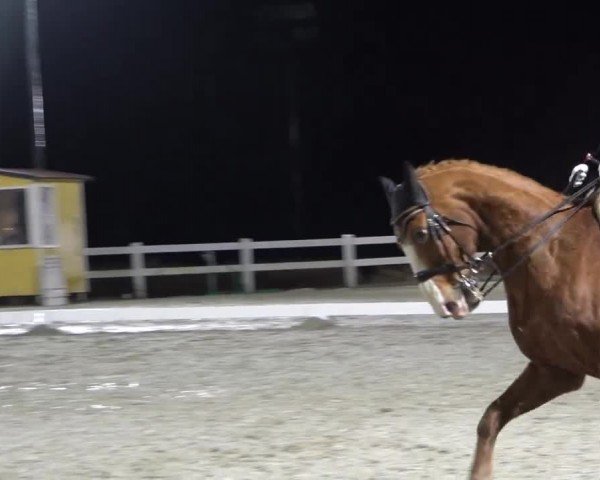 Reitturnier St. Margarethen 2024
