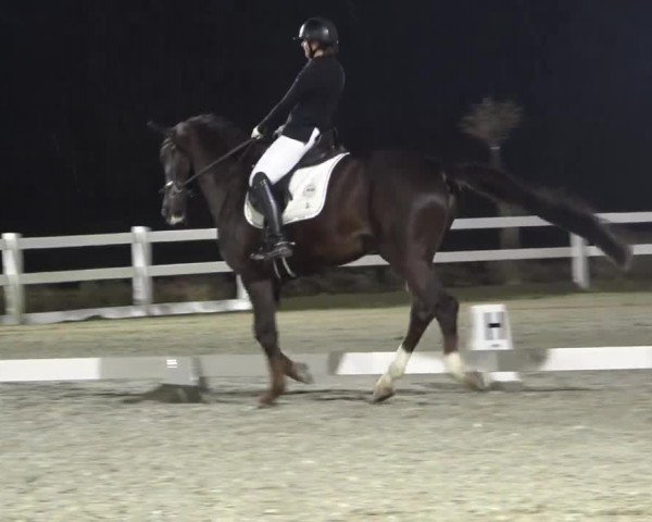 Reitturnier St. Margarethen 2024