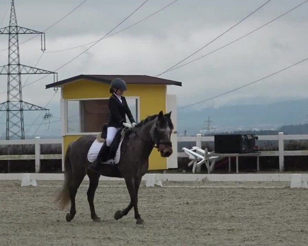 Reitturnier St. Margarethen 2024