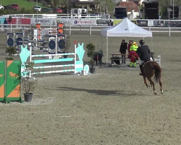 Reitturnier St. Margarethen 2024