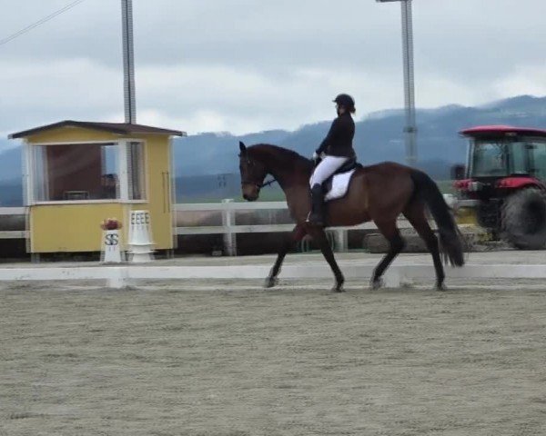 Reitturnier St. Margarethen 2024