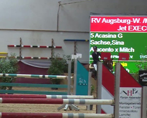 Reitturnier Eicherloh RH Laurent/Obb. 2024