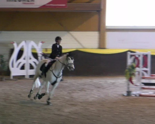 Reitturnier Sauldorf-Boll 2024