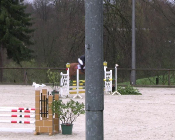 Reitturnier Erkrath - Uhlenhof 2024