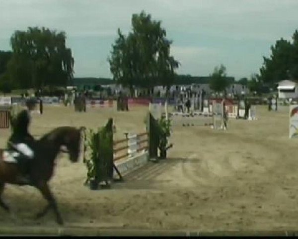Waltrop 2011