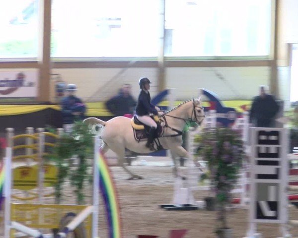 Reitturnier Sauldorf-Boll 2024