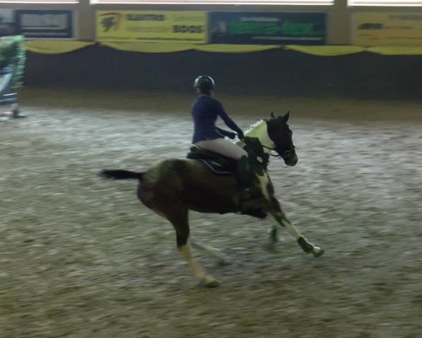 Reitturnier Sauldorf-Boll 2024