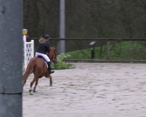 Reitturnier Erkrath - Uhlenhof 2024