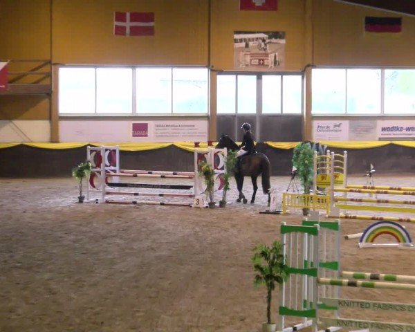 Reitturnier Sauldorf-Boll 2024