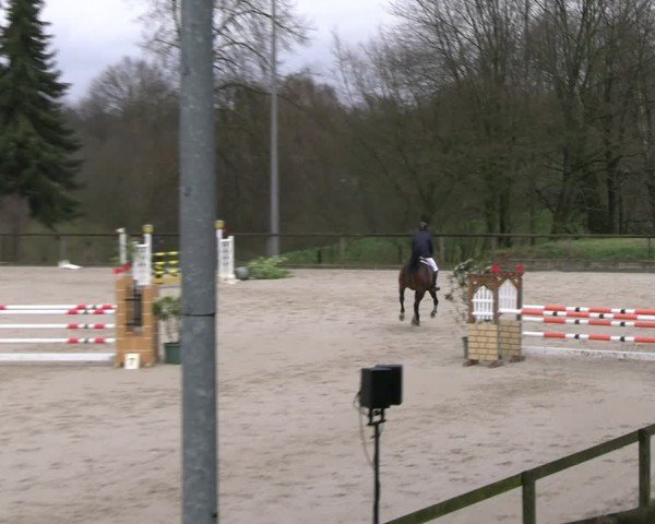 Reitturnier Erkrath - Uhlenhof 2024