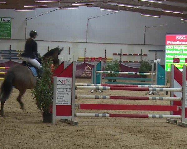 Reitturnier Eicherloh RH Laurent/Obb. 2024