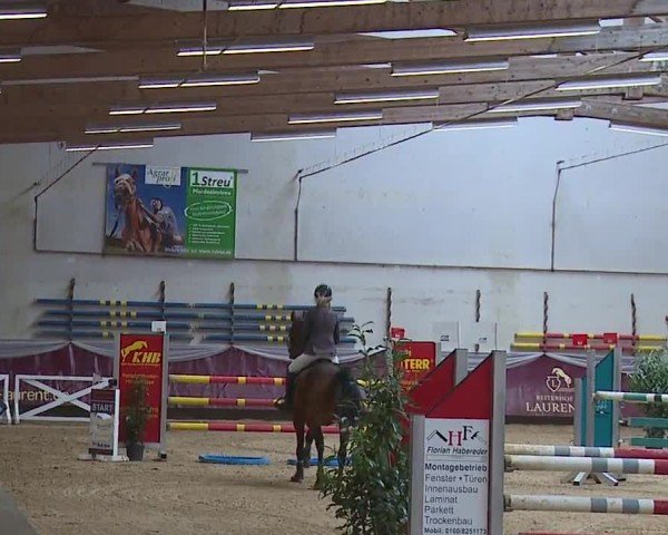 Reitturnier Eicherloh RH Laurent/Obb. 2024