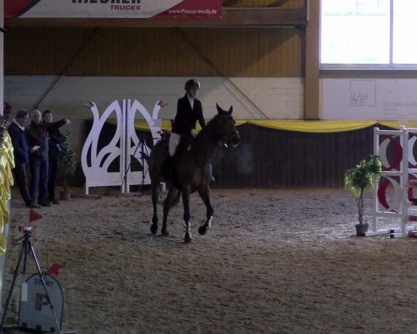 Reitturnier Sauldorf-Boll 2024