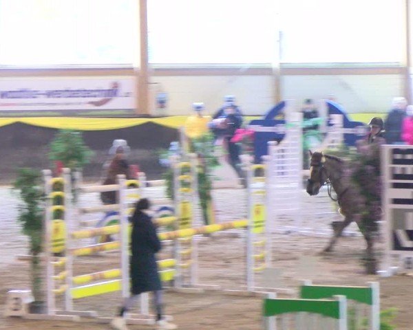 Reitturnier Sauldorf-Boll 2024