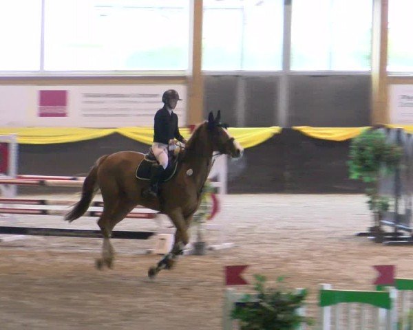 Reitturnier Sauldorf-Boll 2024
