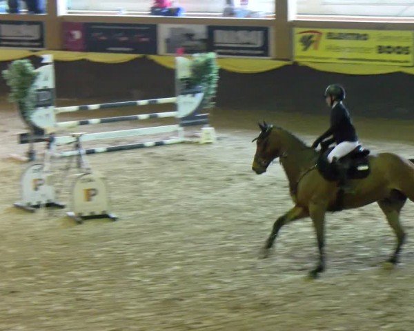 Reitturnier Sauldorf-Boll 2024