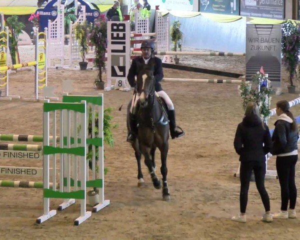 Reitturnier Sauldorf-Boll 2024