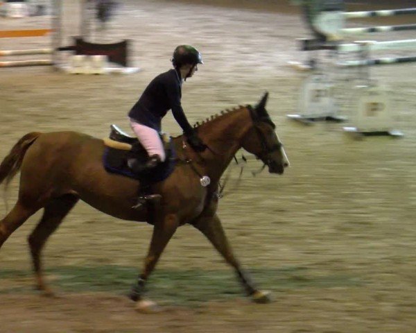 Reitturnier Sauldorf-Boll 2024