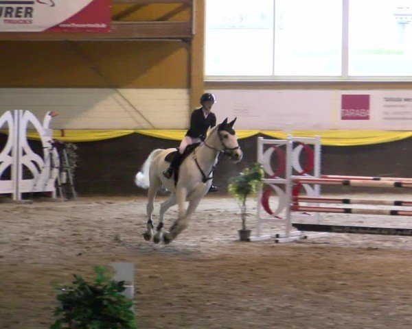 Reitturnier Sauldorf-Boll 2024