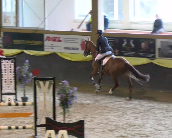 Reitturnier Sauldorf-Boll 2024