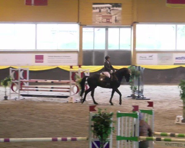 Reitturnier Sauldorf-Boll 2024