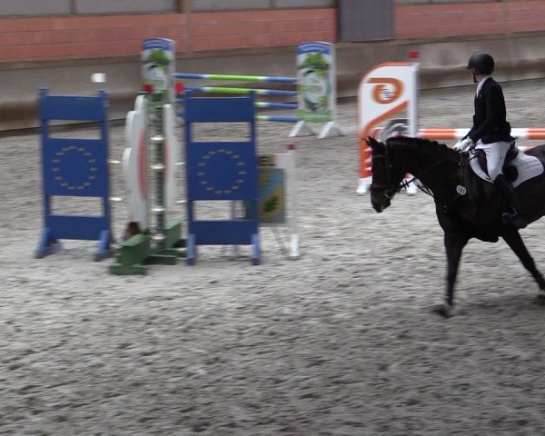 Reitturnier Tremsdorf, Eichenhof 2024