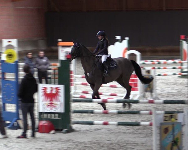 Reitturnier Tremsdorf, Eichenhof 2024