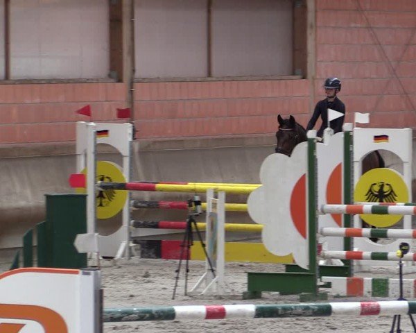 Reitturnier Tremsdorf, Eichenhof 2024