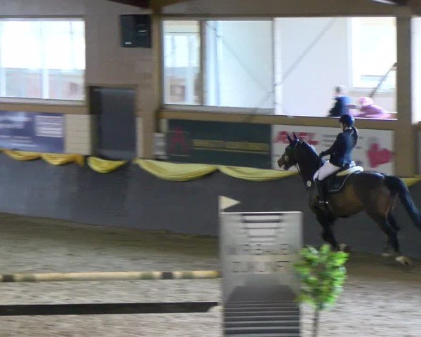 Reitturnier Sauldorf-Boll 2024
