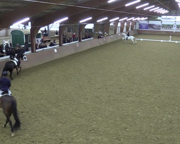 Reitturnier Bad Salzuflen 2024