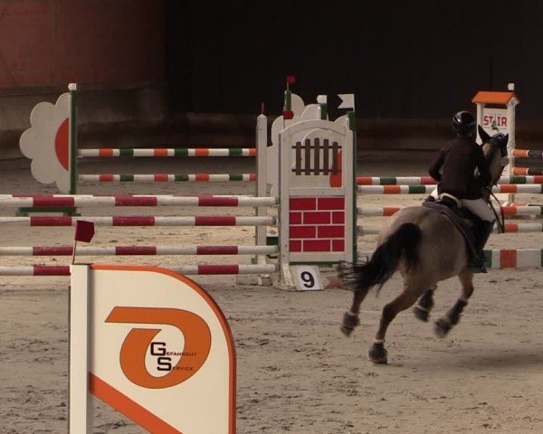 Reitturnier Tremsdorf, Eichenhof 2024