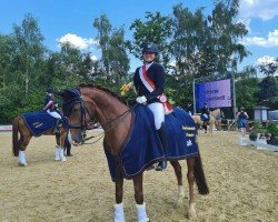 dressage horse Flash Dance- Be Lu (Oldenburg, 2006, from Fielmann)