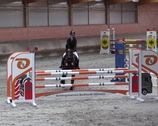 Reitturnier Tremsdorf, Eichenhof 2024