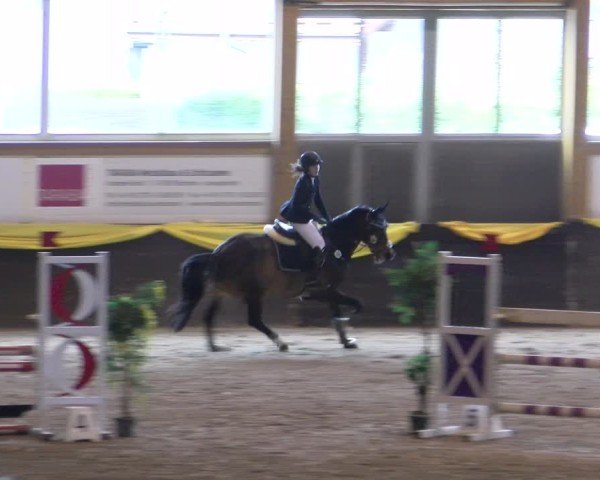 Reitturnier Sauldorf-Boll 2024
