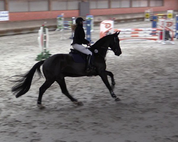 Reitturnier Tremsdorf, Eichenhof 2024
