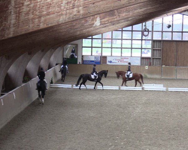 Reitturnier Krumke 2024