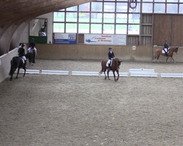 Reitturnier Krumke 2024