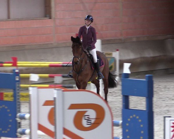 Reitturnier Tremsdorf, Eichenhof 2024