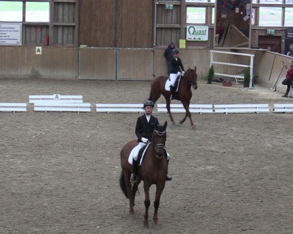 Reitturnier Krumke 2024