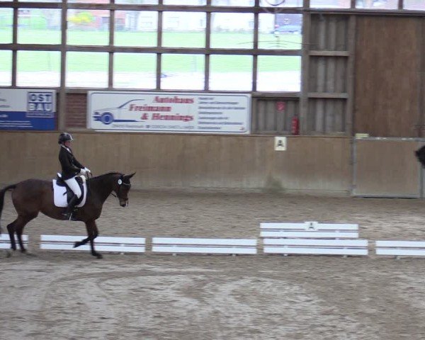Reitturnier Krumke 2024